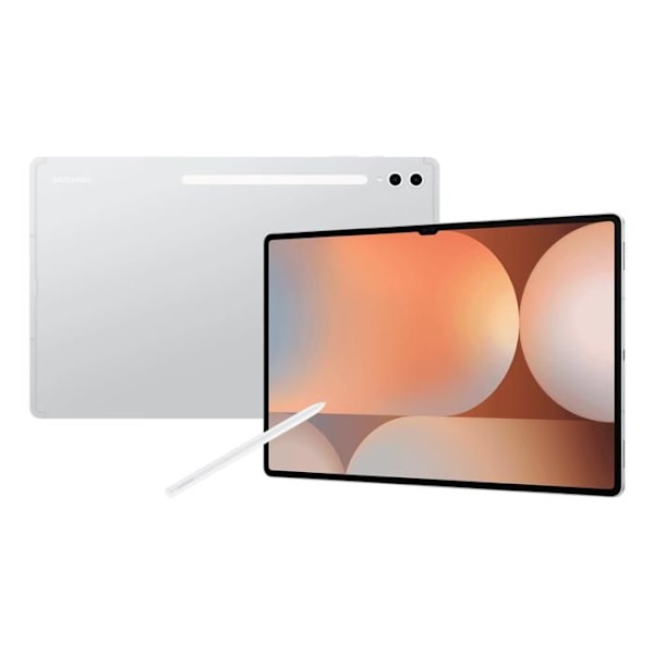 Samsung Galaxy Tab S10 Ultra 14,6" 16 Go/1 To Wi-Fi Hopea (Platinum Silver) X920N
