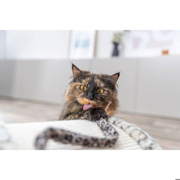 Krattskydd för katt - TRIXIE - Leo - Beige - Polyesterplush - Jute grädde