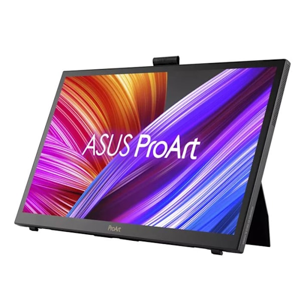 ASUS ProArt PA169CDV 15.6'Tact Sort