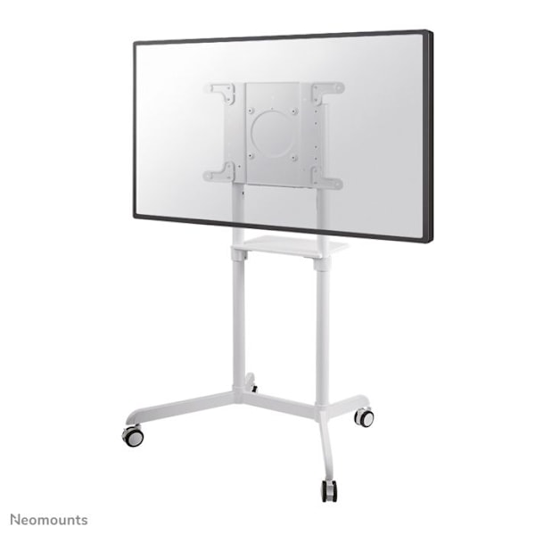 Support til fladskærm - NEWSTAR - NS-M1250WHITE - Hvid - Metal - 70 kg