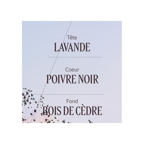 LAVANDE PIPPURI MUSTA edt 50 ml