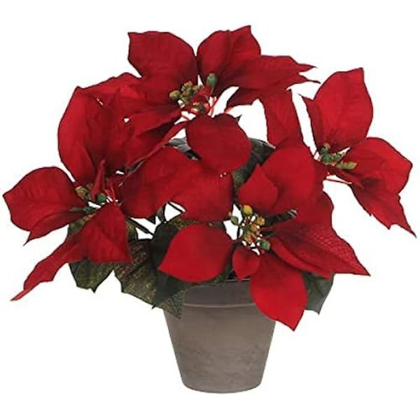 Blomkruka - MICA DECORATIONS - Röd - Ø 11,5 cm - Höjd 27 cm - Lätt att underhålla Röd