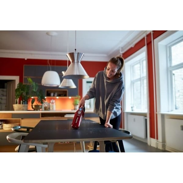2 in 1 Easy 36V dammsugare - NILFISK - med tillbehör