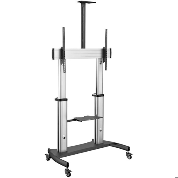 StarTech.com Mobilt TV-ställ - Robust TV-stödvagn för 60-100" skärmar 100 kg - Platt-TV-ställ på hjul - Höjd