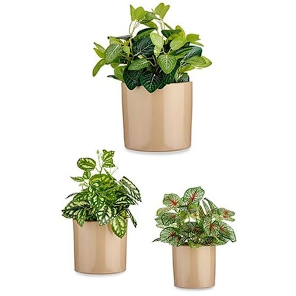 Staty - statyett - keramik Ibergarden - S3630808 - Set krukor 3 stycken Ø 14 cm Ø 22 cm Ø 17 cm Beige Cylinder