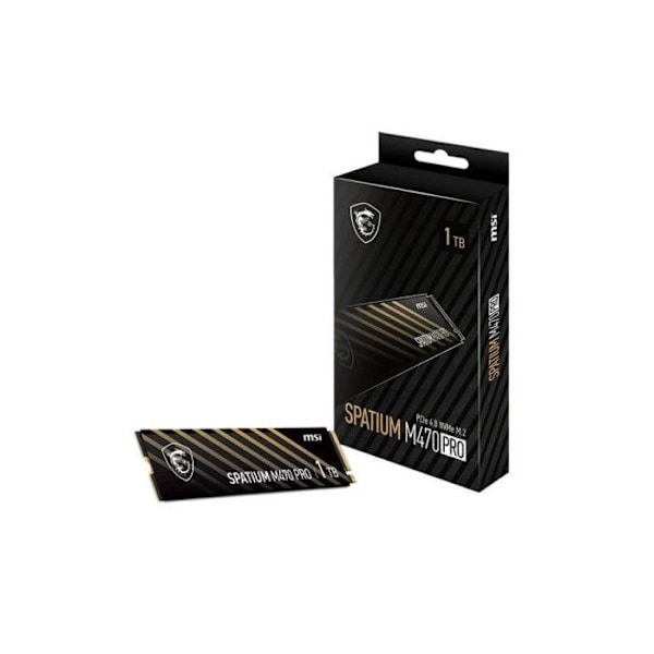 MSI 2To M.2 NVMe Gen4