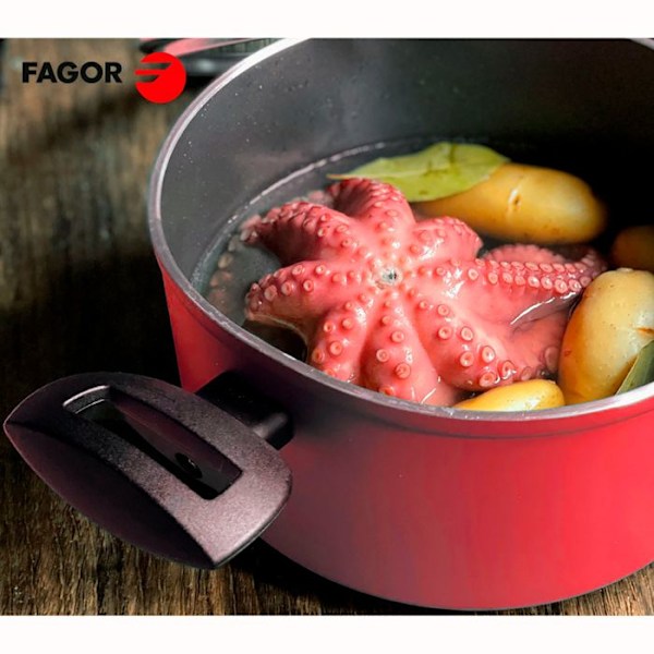 Kastrull Induktion 20cm Smidd aluminium, PFOA-fri non-stick, Glaslock FAGOR Maxima Red 01182 Röd