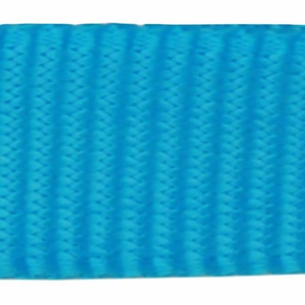 Snor - strop - kobling - skede til strop Rød dingo - L4-ZZ-TQ-20 - Turkis hundesnor (2 x 120 cm)