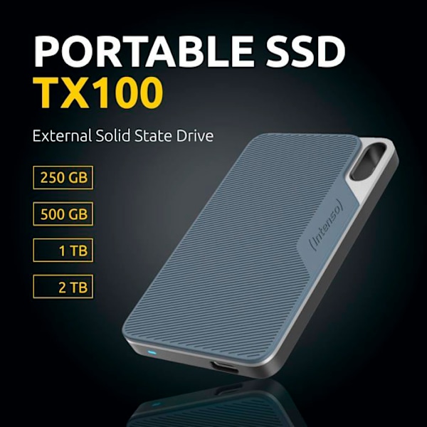 Intenso TX100 500GB intern hårddisk