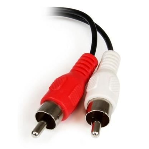 Mini-Jack 3,5 mm Y-kaapeli 2x RCA - STARTECH - Väriä koodatut liittimet - Musta Svart