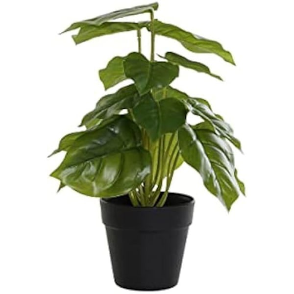 Prydplante - DKD HOME DECOR - Standard - Sort og Grøn - PVC - 20x20x30 cm Svart, grön
