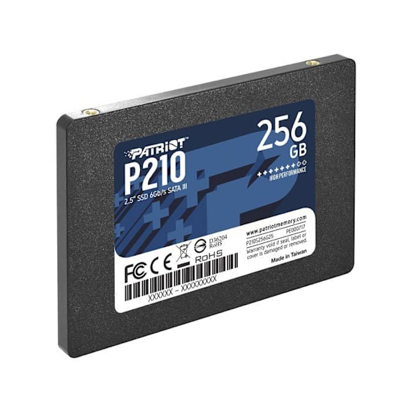 PATRIOT P210 256 Gt