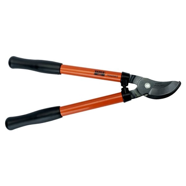 Ebrancheur tradition L : 45 cm