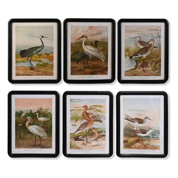 Tableau - DKD Home Decor - S3038850 - Svart - Väggdekoration - Inomhus