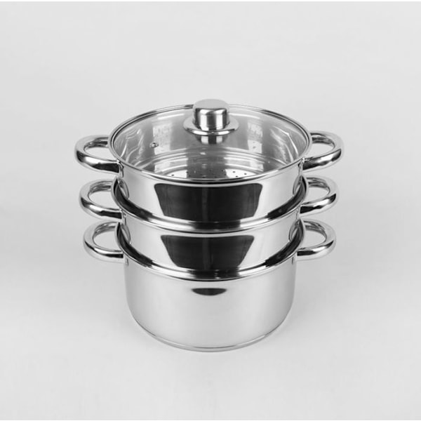 Faitout - Maestro-kattilo - MR-2900-22 - Höyrykattila Feel- ()