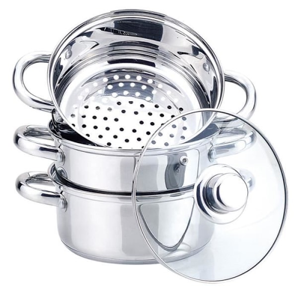 Maestro Steamer - MR-2900-20