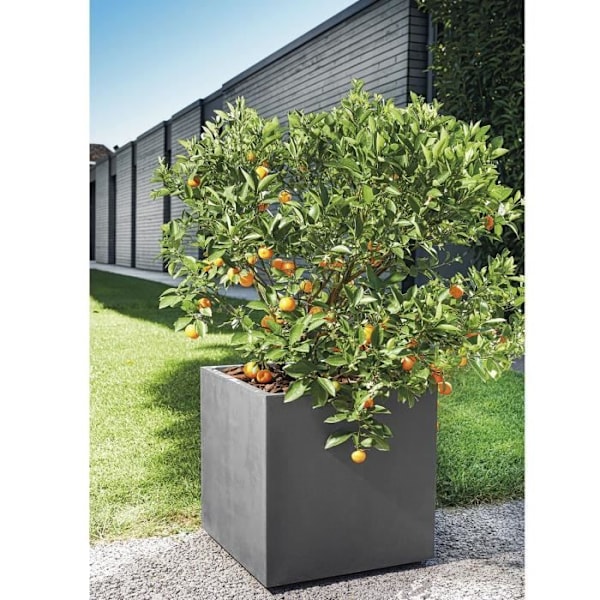 Potteplante Cube - DEROMA - Millennium R - Antracit - Med vandreservoir - Med hjul - 49 cm Kolgrå