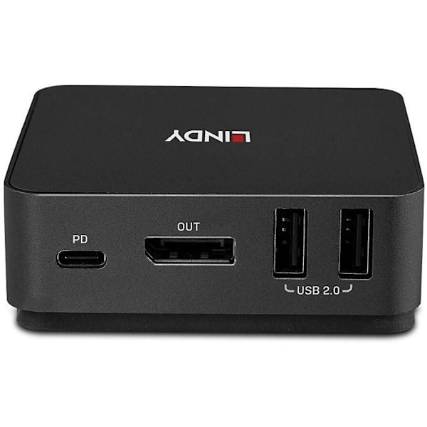 Lindy 2 Port Type C DisplayPor Grå