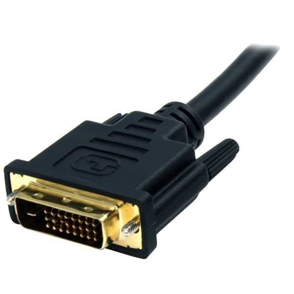 Adapterkabel - StarTech - DP2DVI2MM6 - 1,8 m - Opløsning 1920 x 1200 - Guldfarvet stik