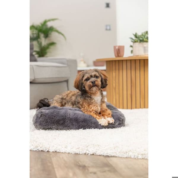 Trixie Elli fyrkantig hundkudde - mörkgrå - Grå - 60×45 cm mörkgrå