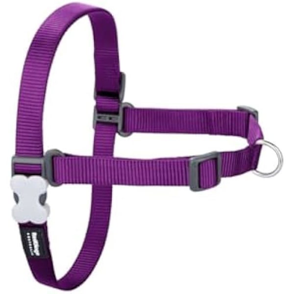 Koiran valjaat - PUNAINEN DINGO - Purppura - Koko S - 36-50 cm - Monivärinen mångfärgad
