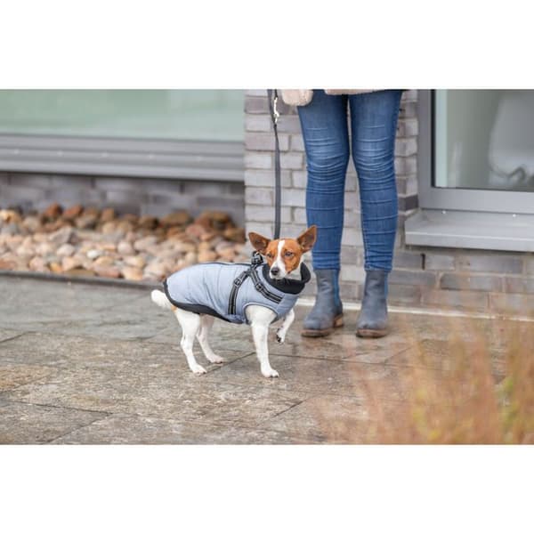 Trixie Pontis - Harso koiralle - Harmaa - 45 cm grå