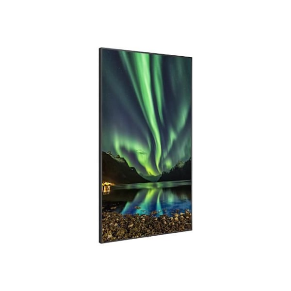 LED-skärm - NEC - MultiSync C981Q - 98 tum - 4K UHD - 350 cd/m² - 60 Hz