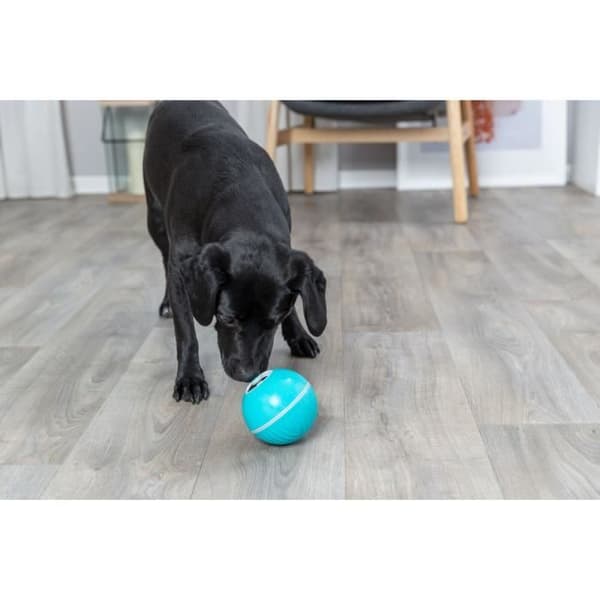 Hundboll - Trixie - One size - Plast - Blå - x2