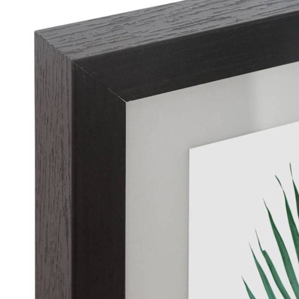 Sæt med 5 "Tropical" rammer - træ og glas - sort - Sort - Atmosphera indretningsarkitekt Svart