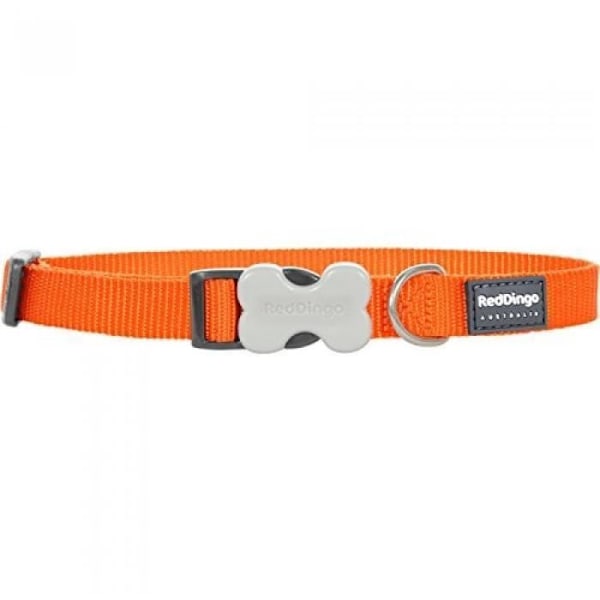 Koiran kaulapanta - Red Dingo - Oranssi - 30-47 cm - 20 mm - Keskikokoinen Orange