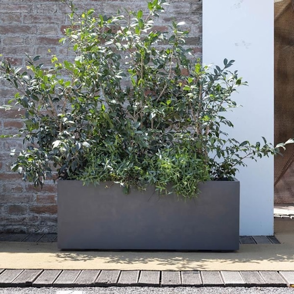 Jardinière Muret - DEROMA - Millennium R - Antracit - Med vandreservoir - Hjul - 99 cm Kolgrå