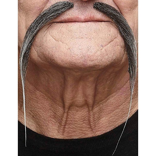Vuxen grå kinesisk mustasch Grå