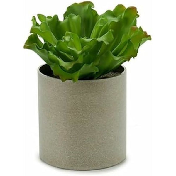 Dekorativ plante - IBERGARDEN - 20 x 25 x 20 cm - Flerfarvet - 6 enheder Flerfarvet