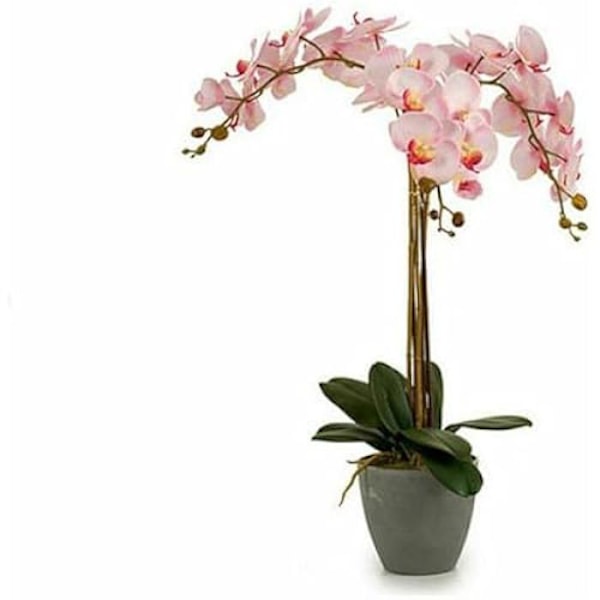 Dekorativ växt - IBERGARDEN - Orkidé i plast - 29 x 78 x 35 cm - 2 enheter - Flerfärgad Flerfärgad