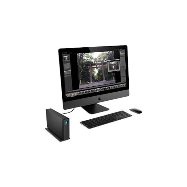 LaCie d2 Professional 18TB - 3,5" USB-C 3.1 extern enhet