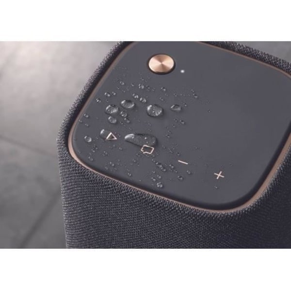 YAMAHA Bluetooth højtaler WS-B1A CGY