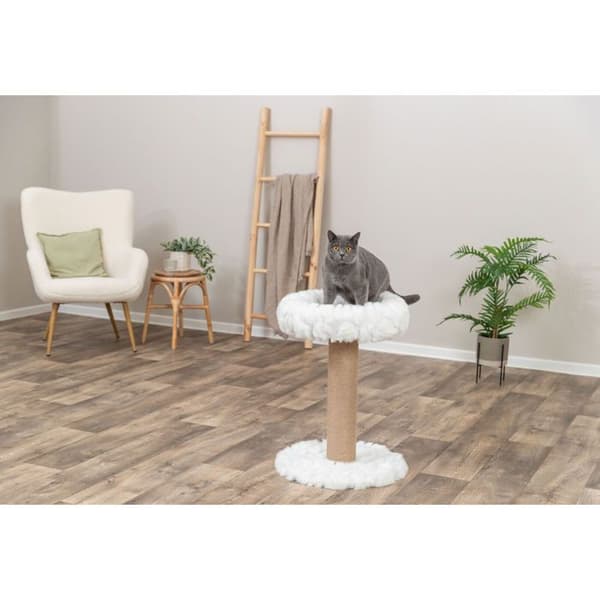 Kattträd - TRIXIE - Mirella - Vit - Jute - Polyester - 68 cm höjd Vit