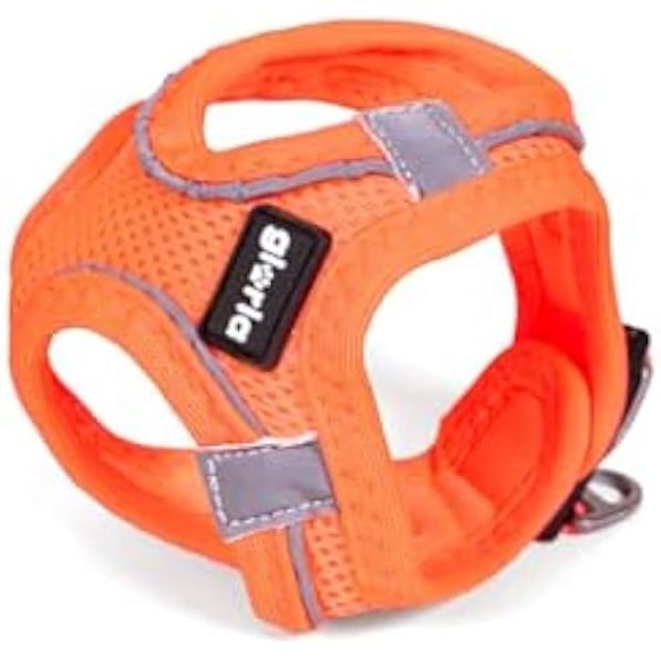 Koiran valjaat - GLORIA - Trek Star - Koko M - Väri Oranssi - Mitat 32,8-35,4 cm, 45-47 cm mångfärgad