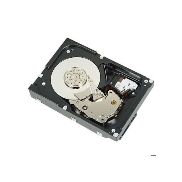 DELL Intern Festplatte 3.5 2000 GB Serial ATA III () - 400-BLLG
