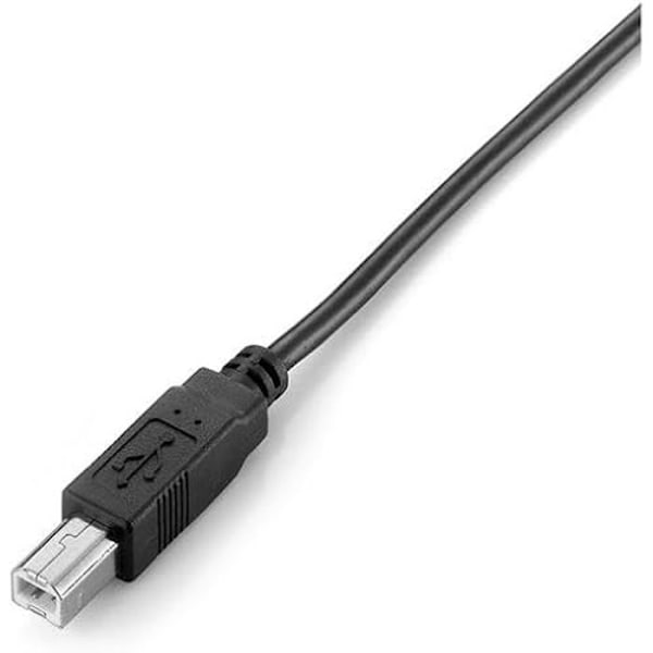 USB 2.0-kabel - EQUIP - 128864 - Typ A till Typ B - 2 m - Svart - 480 Mbps