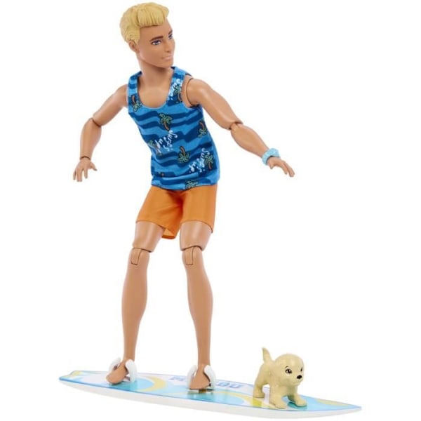BARBIE - BARBIE KEN SURFFIGUURI + TARVIKKEET (CP6) - 21A - nukke - 3 vuotta ja + Flerfärgad
