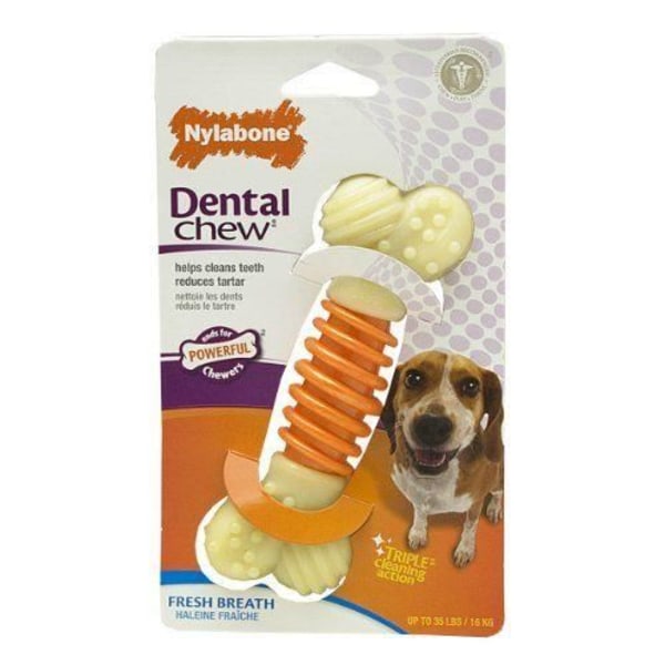 Bidelegetøj - Nylabone - Tandvenligt tyggeben - Størrelse M - Nylon - Reducerer tandsten