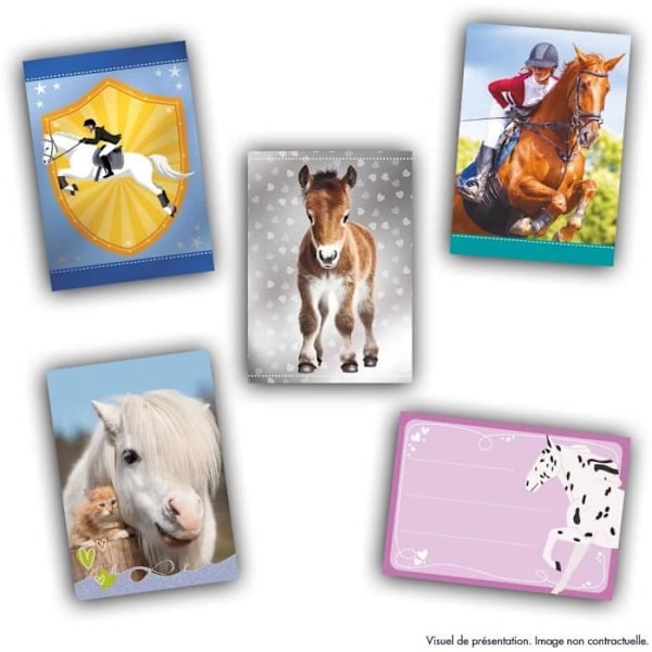 Startpakke - PANINI - Kortkollektion for hestefans - Indeholder 1 binder + 2 pakker Flerfärgad