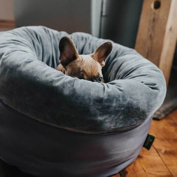 Hunter Miranda hund- och kattkudde antracit