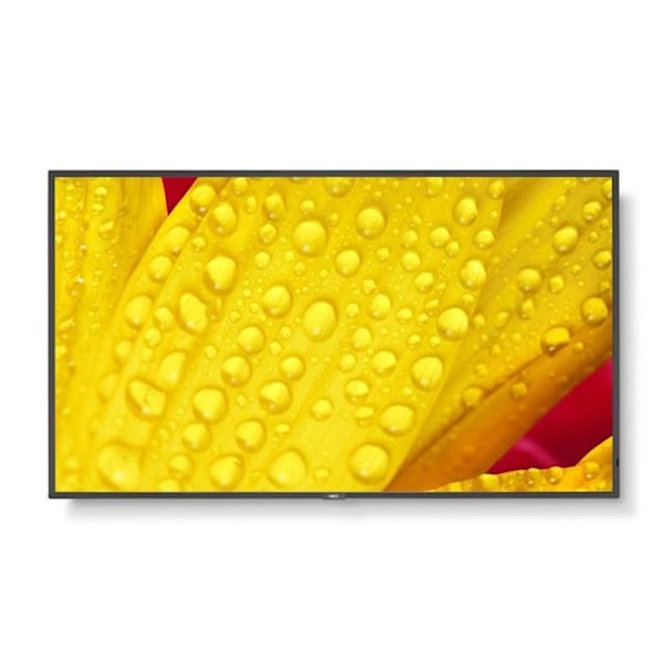LCD-skærm - Sharp NEC Display Solutions - NEC MultiSync ME431 - 43" - 4K - HDMI, DisplayPort