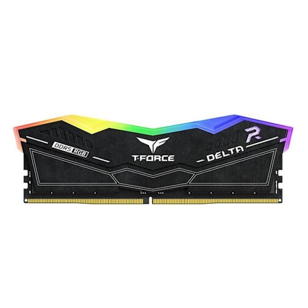 RAM-hukommelse Team Group T-Force Delta RGB DDR5 S7820422