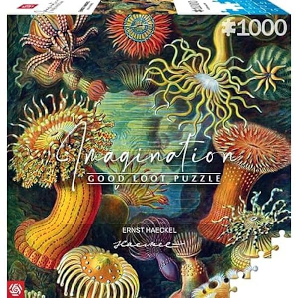 Puzzle - GODT BYT - Imagination Series - Ernst Haeckel - Sømænd - 1000 dele - Rektangulær