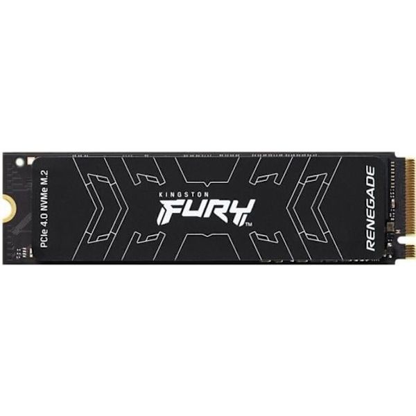 KINGSTON – Sisäinen SSD – FURY Renegade – 1 Tt – M.2 NVMe (SFYRS/1000G)