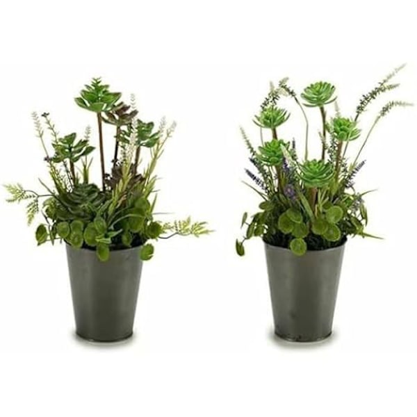 Dekorativ växt - IBERGARDEN - Fleurs Champ - Plast - 20 x 41 x 20 cm - 6 enheter Flerfärgad