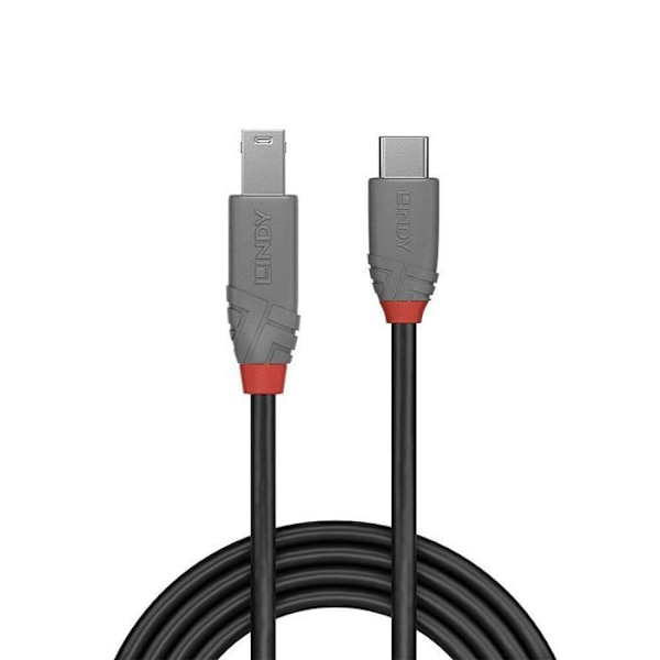 Lindy Anthra Line - USB-kaapeli - USB-C (M) - USB Type B (M) - USB 3.2 Gen 1 - 1,0 m - pyöreä, kaksisuuntainen - Schwarz () -